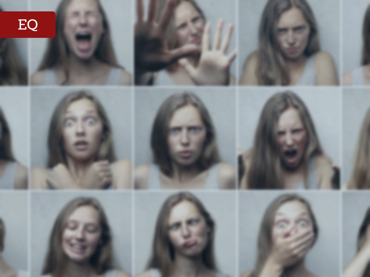 Read more about the article Érzelmi intelligencia