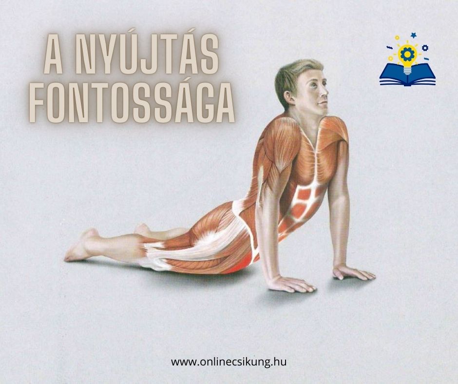Read more about the article A nyújtás fontossága